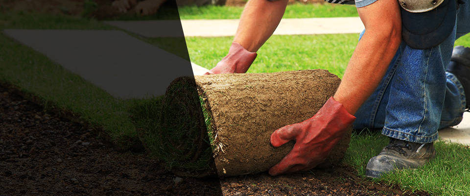 Colonial Heights Landscapers